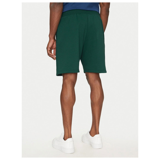 The North Face Ανδρικό σορτς Box NSE Regular Shorts